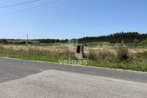 Helårsgrund i Santo Onofre e Serra do Bouro, Leiria, Santo Onofre e Serra do Bouro - € 225.000 | Ref: CAL-214517 - foto 3