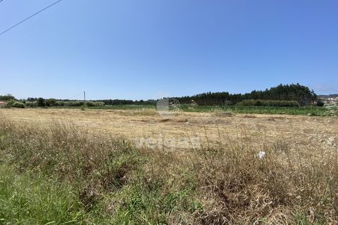 Helårsgrund i Santo Onofre e Serra do Bouro, Leiria, Santo Onofre e Serra do Bouro - € 225.000 | Ref: CAL-214517 - foto 4