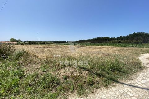 Helårsgrund i Santo Onofre e Serra do Bouro, Leiria, Santo Onofre e Serra do Bouro - € 225.000 | Ref: CAL-214517 - foto 5
