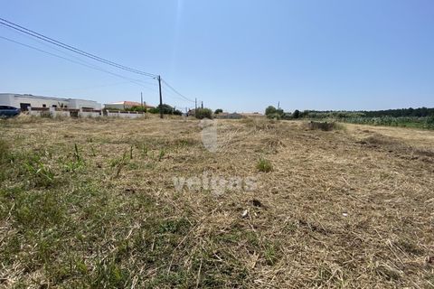 Helårsgrund i Santo Onofre e Serra do Bouro, Leiria, Santo Onofre e Serra do Bouro - € 225.000 | Ref: CAL-214517 - foto 6
