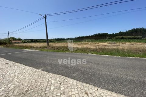 Helårsgrund i Santo Onofre e Serra do Bouro, Leiria, Santo Onofre e Serra do Bouro - € 225.000 | Ref: CAL-214517 - foto 7