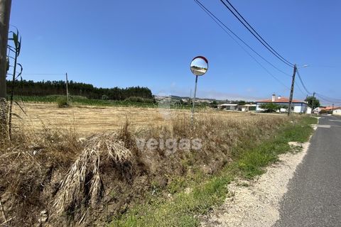 Helårsgrund i Santo Onofre e Serra do Bouro, Leiria, Santo Onofre e Serra do Bouro - € 225.000 | Ref: CAL-214517 - foto 8