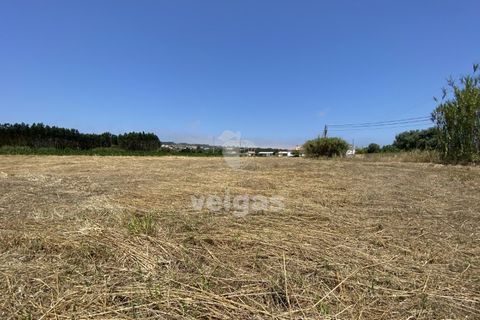Helårsgrund i Santo Onofre e Serra do Bouro, Leiria, Santo Onofre e Serra do Bouro - € 225.000 | Ref: CAL-214517 - foto 9