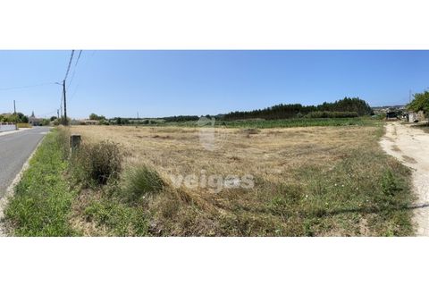 Helårsgrund i Santo Onofre e Serra do Bouro, Leiria, Santo Onofre e Serra do Bouro - € 225.000 | Ref: CAL-214517 - foto 10