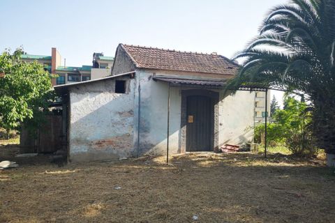 Landejendom i Eboli, Salerno, Eboli - € 160.000 | Ref: 493 - foto 8