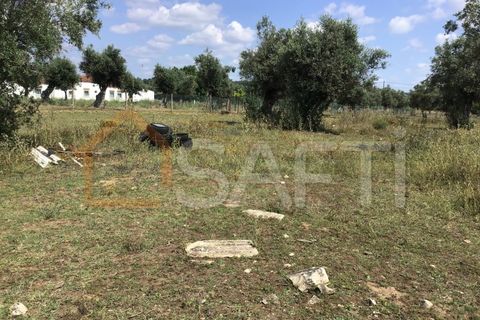 Erhvervsejendom i Abrantes, Santarem, Abrantes - € 160.000 | Ref: SAFTI:003640 - foto 2
