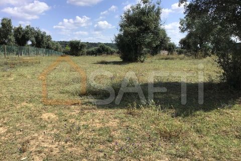 Erhvervsejendom i Abrantes, Santarem, Abrantes - € 160.000 | Ref: SAFTI:003640 - foto 3