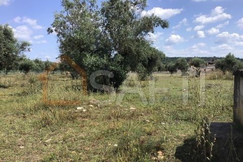 Erhvervsejendom i Abrantes, Santarem, Abrantes - € 160.000 | Ref: SAFTI:003640 - foto 11