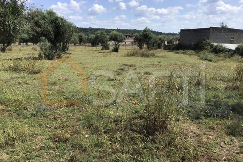Erhvervsejendom i Abrantes, Santarem, Abrantes - € 160.000 | Ref: SAFTI:003640 - foto 12