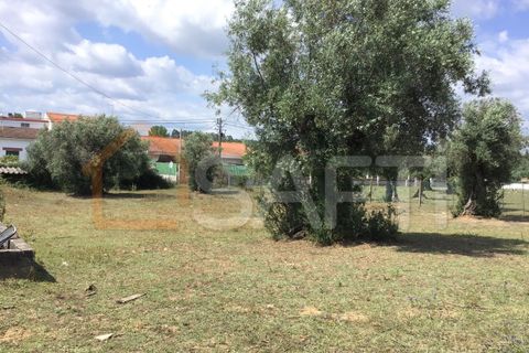Erhvervsejendom i Abrantes, Santarem, Abrantes - € 160.000 | Ref: SAFTI:003640 - foto 13