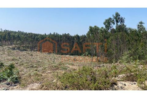 Helårsgrund i A dos Cunhados e Maceira, Lisbon, A dos Cunhados e Maceira - € 55.000 | Ref: SAFTI:003604 - foto 3