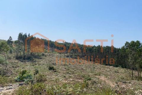 Helårsgrund i A dos Cunhados e Maceira, Lisbon, A dos Cunhados e Maceira - € 55.000 | Ref: SAFTI:003604 - foto 4