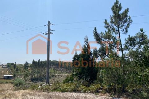 Helårsgrund i A dos Cunhados e Maceira, Lisbon, A dos Cunhados e Maceira - € 55.000 | Ref: SAFTI:003604 - foto 10