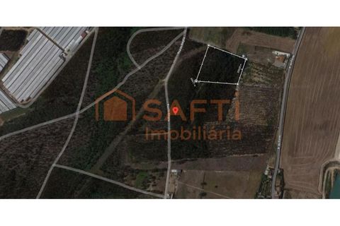 Helårsgrund i A dos Cunhados e Maceira, Lisbon, A dos Cunhados e Maceira - € 55.000 | Ref: SAFTI:003604 - foto 2