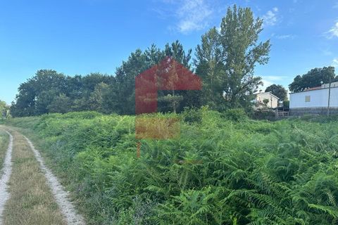 Helårsgrund i Vila Verde, Braga, Vila Verde - € 80.000 | Ref: 08104 - foto 2