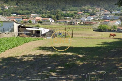 Helårsgrund i Santo Tirso, Porto, Santo Tirso - € 85.000 | Ref: ONE81382-3 - foto 19