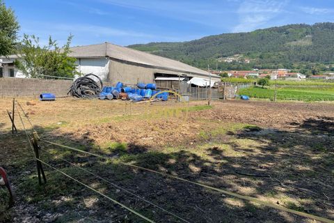 Helårsgrund i Santo Tirso, Porto, Santo Tirso - € 85.000 | Ref: ONE81382-3 - foto 13