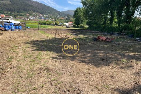 Helårsgrund i Santo Tirso, Porto, Santo Tirso - € 85.000 | Ref: ONE81382-3 - foto 14