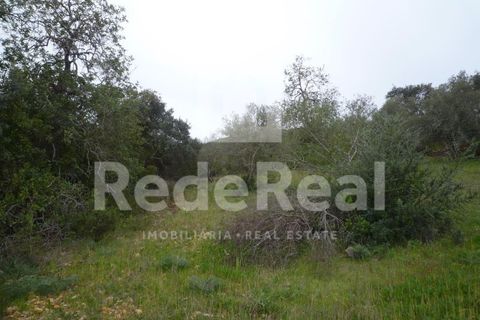 Terra a Benafim, Faro, Benafim - € 90.000 | Ref: 021160063 - foto 3