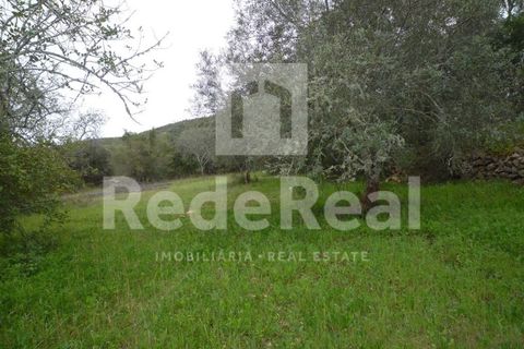 Terra a Benafim, Faro, Benafim - € 90.000 | Ref: 021160063 - foto 4