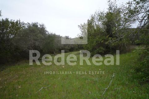 Terra a Benafim, Faro, Benafim - € 90.000 | Ref: 021160063 - foto 5