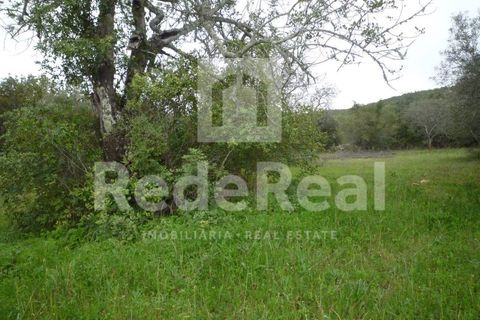 Terra a Benafim, Faro, Benafim - € 90.000 | Ref: 021160063 - foto 6