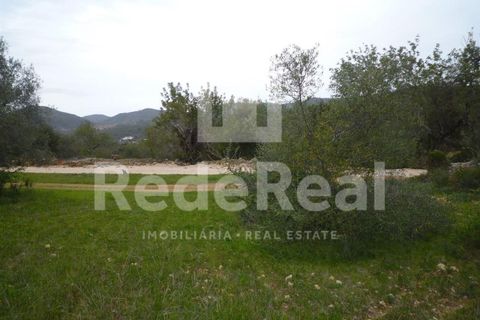 Terra a Benafim, Faro, Benafim - € 90.000 | Ref: 021160063 - foto 7