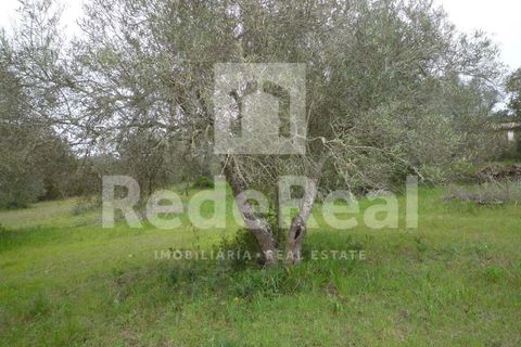 Terra a Benafim, Faro, Benafim - € 90.000 | Ref: 021160063 - foto 8