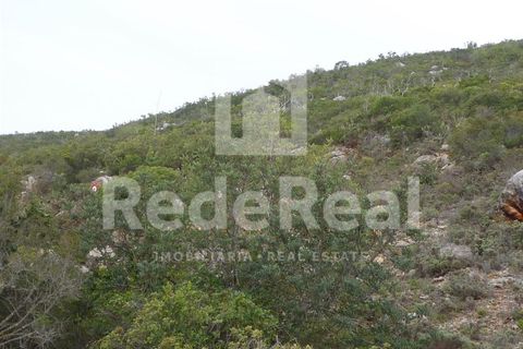 Terra a Benafim, Faro, Benafim - € 90.000 | Ref: 021160063 - foto 10