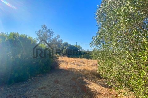Helårsgrund i Almancil, Faro, Almancil - € 1.000.000 | Ref: 2406 - foto 2