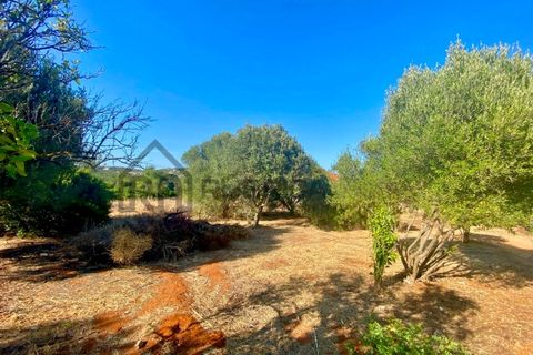 Helårsgrund i Almancil, Faro, Almancil - € 1.000.000 | Ref: 2406 - foto 3