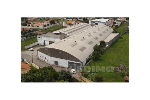 Erhvervsejendom i Cortegaca, Aveiro, Cortegaca - € 495.000 | Ref: 1337-ARM - foto 1