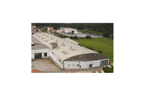 Erhvervsejendom i Cortegaca, Aveiro, Cortegaca - € 495.000 | Ref: 1337-ARM - foto 2
