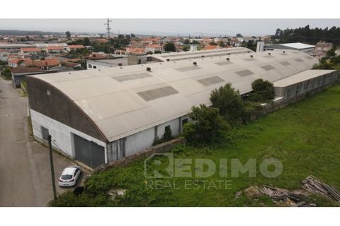 Erhvervsejendom i Cortegaca, Aveiro, Cortegaca - € 495.000 | Ref: 1337-ARM - foto 3