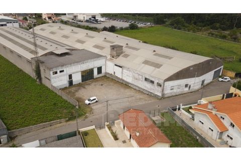 Erhvervsejendom i Cortegaca, Aveiro, Cortegaca - € 495.000 | Ref: 1337-ARM - foto 4