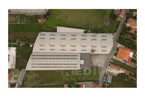 Erhvervsejendom i Cortegaca, Aveiro, Cortegaca - € 495.000 | Ref: 1337-ARM - foto 5