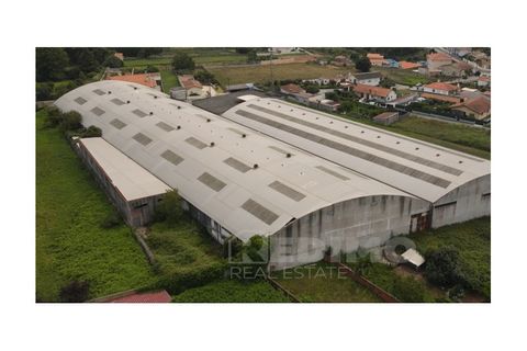 Erhvervsejendom i Cortegaca, Aveiro, Cortegaca - € 495.000 | Ref: 1337-ARM - foto 6