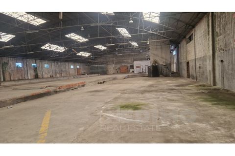 Erhvervsejendom i Cortegaca, Aveiro, Cortegaca - € 495.000 | Ref: 1337-ARM - foto 7