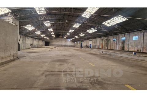 Erhvervsejendom i Cortegaca, Aveiro, Cortegaca - € 495.000 | Ref: 1337-ARM - foto 8