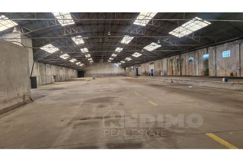 Erhvervsejendom i Cortegaca, Aveiro, Cortegaca - € 495.000 | Ref: 1337-ARM - foto 10