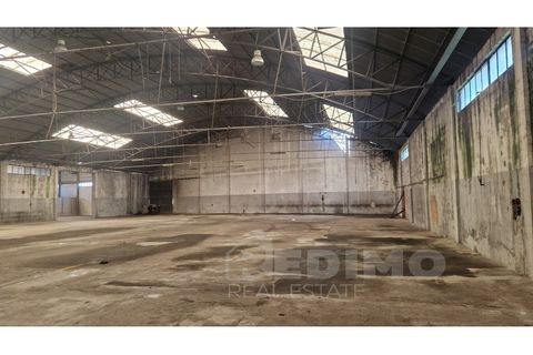 Erhvervsejendom i Cortegaca, Aveiro, Cortegaca - € 495.000 | Ref: 1337-ARM - foto 11