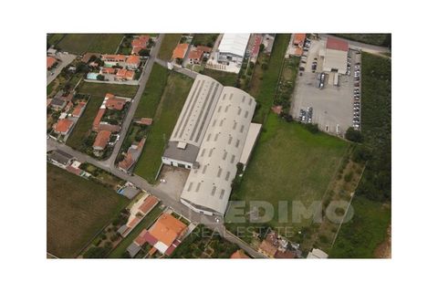 Erhvervsejendom i Cortegaca, Aveiro, Cortegaca - € 495.000 | Ref: 1337-ARM - foto 13