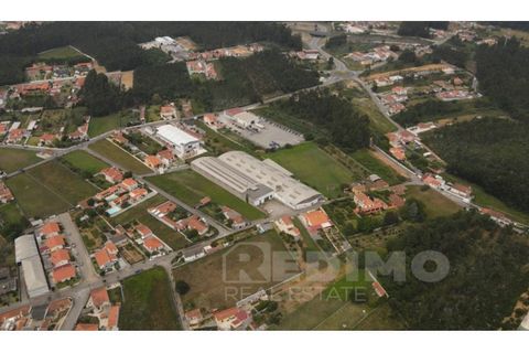 Erhvervsejendom i Cortegaca, Aveiro, Cortegaca - € 495.000 | Ref: 1337-ARM - foto 14