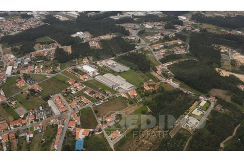 Erhvervsejendom i Cortegaca, Aveiro, Cortegaca - € 495.000 | Ref: 1337-ARM - foto 15