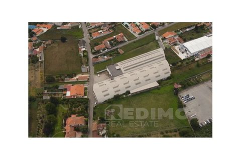 Erhvervsejendom i Cortegaca, Aveiro, Cortegaca - € 495.000 | Ref: 1337-ARM - foto 16