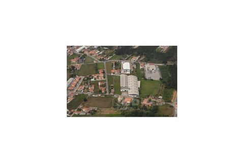 Erhvervsejendom i Cortegaca, Aveiro, Cortegaca - € 495.000 | Ref: 1337-ARM - foto 17