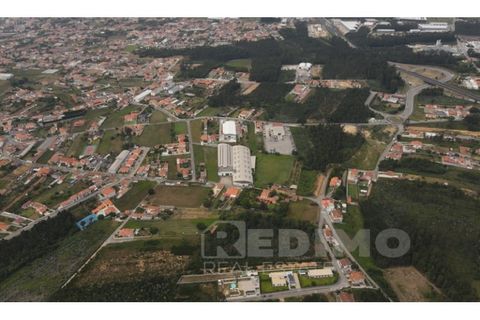 Erhvervsejendom i Cortegaca, Aveiro, Cortegaca - € 495.000 | Ref: 1337-ARM - foto 18