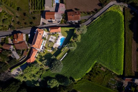 Farm hus i Barcelos, Braga, Barcelos - € 1.700.000 | Ref: TAPT01-392_AK - foto 6