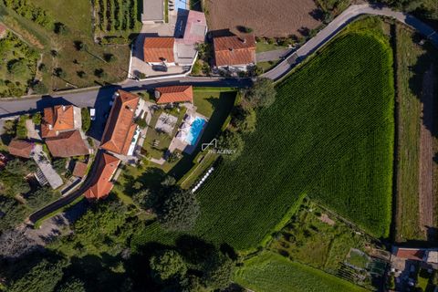 Farm hus i Barcelos, Braga, Barcelos - € 1.700.000 | Ref: TAPT01-392_AK - foto 7