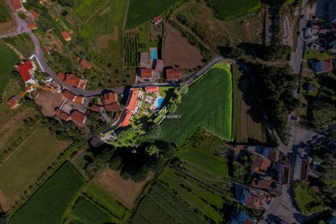 Farm hus i Barcelos, Braga, Barcelos - € 1.700.000 | Ref: TAPT01-392_AK - foto 8